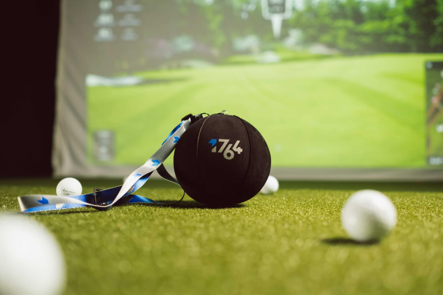 1764 Inflatable Training Ball
