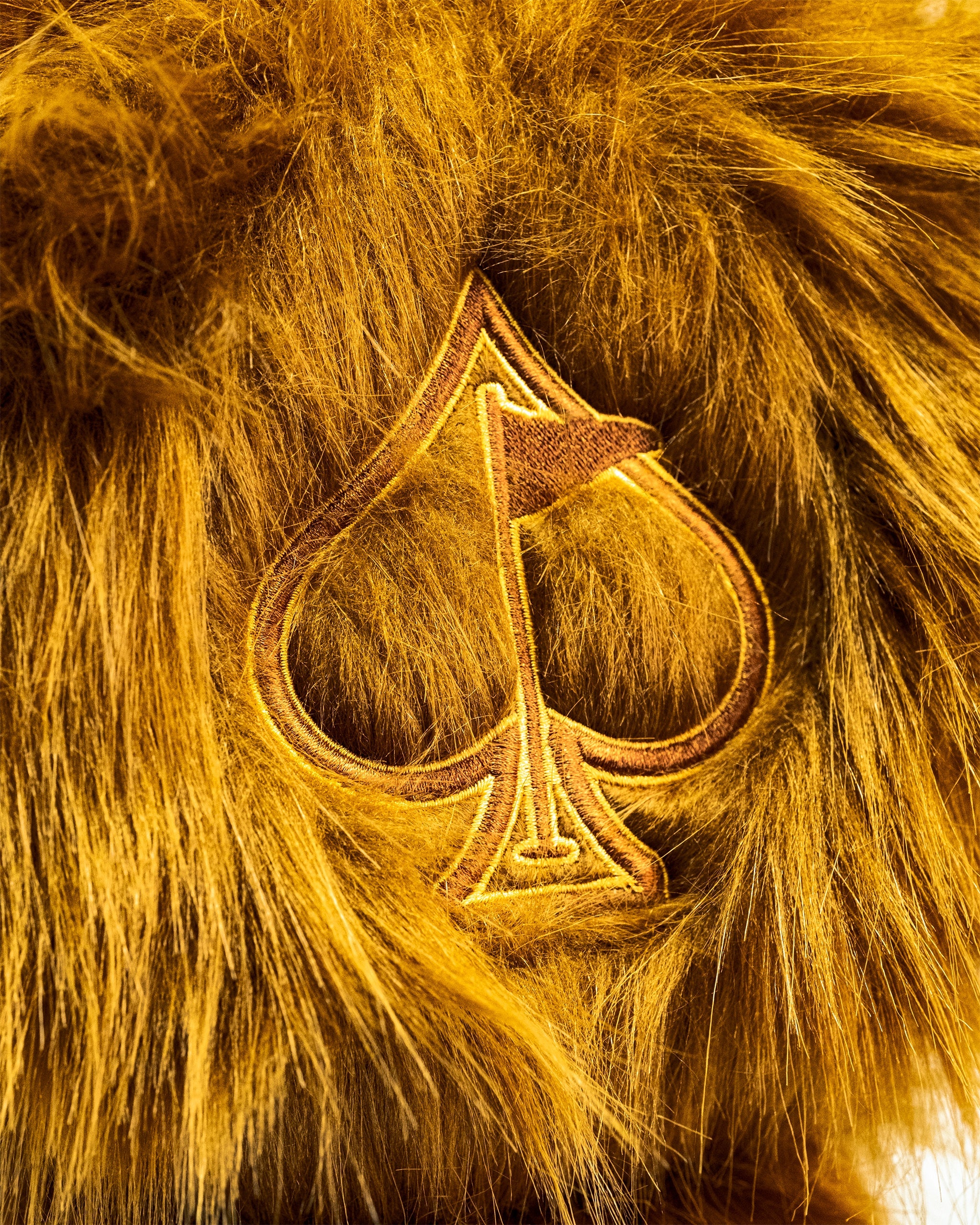 Image of Lion Driver Cover