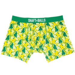 spring-rhodi-boxers-green-yellow-white