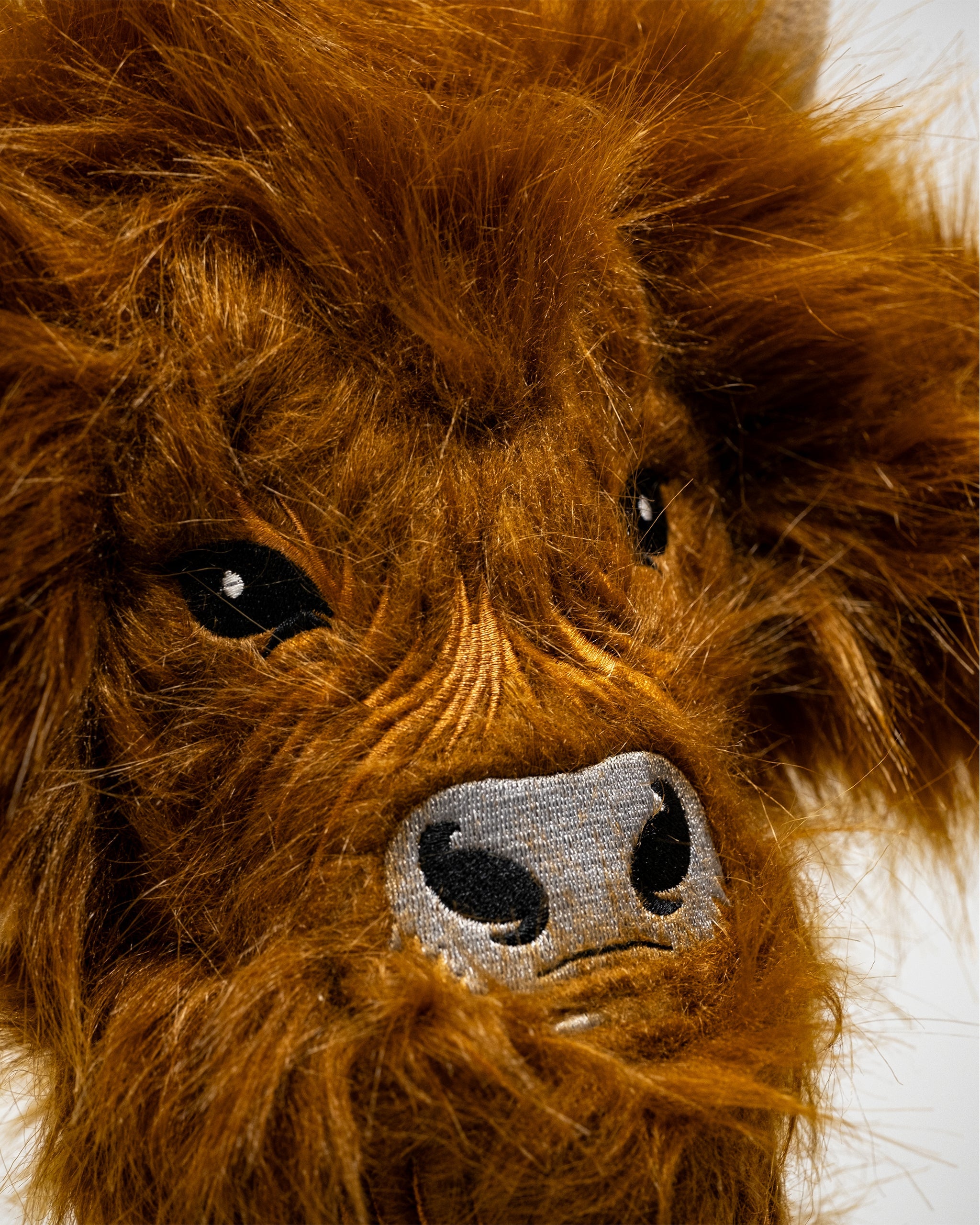 Image of Highland Cow - Driver Cover