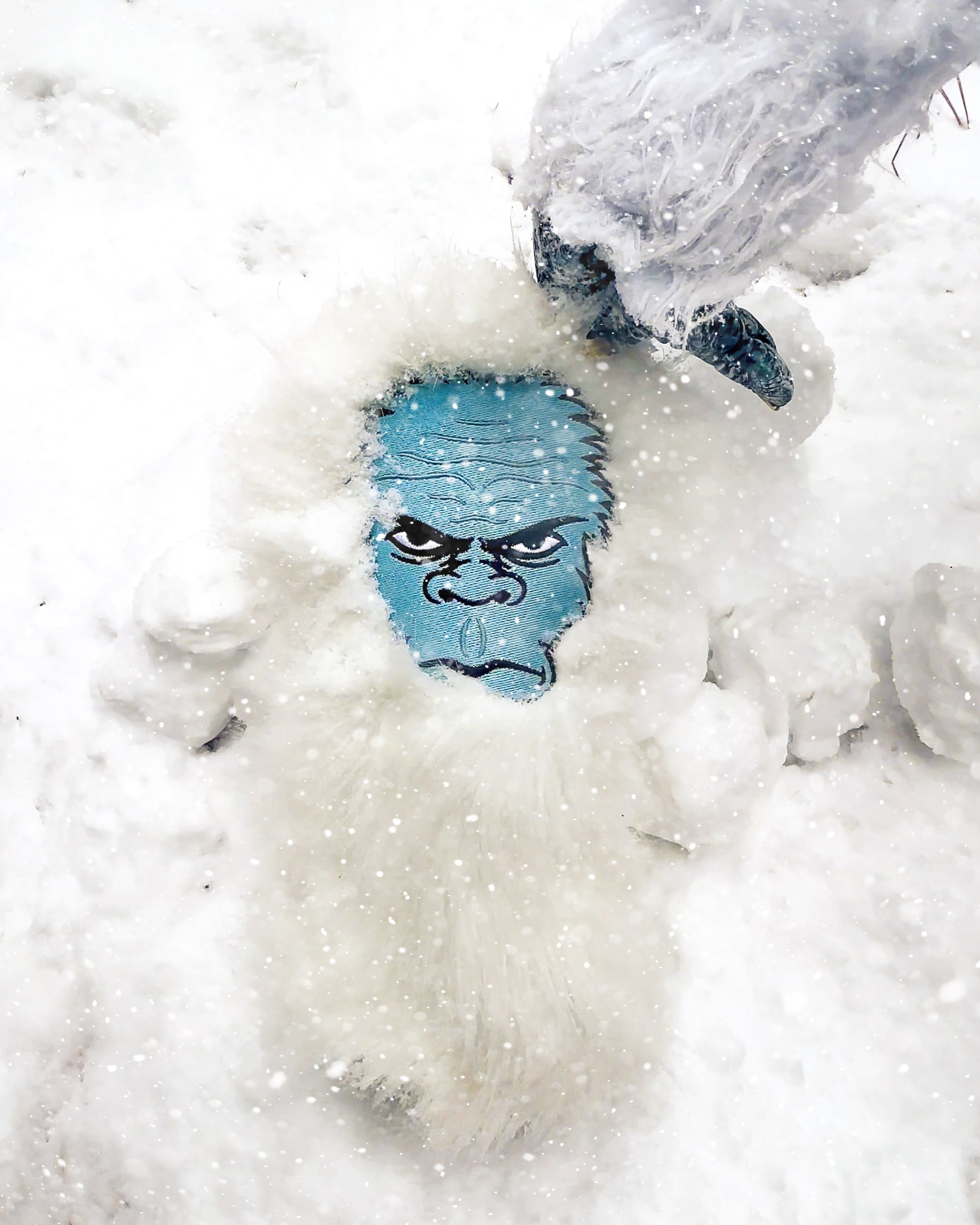 Image of Yeti - Driver Cover