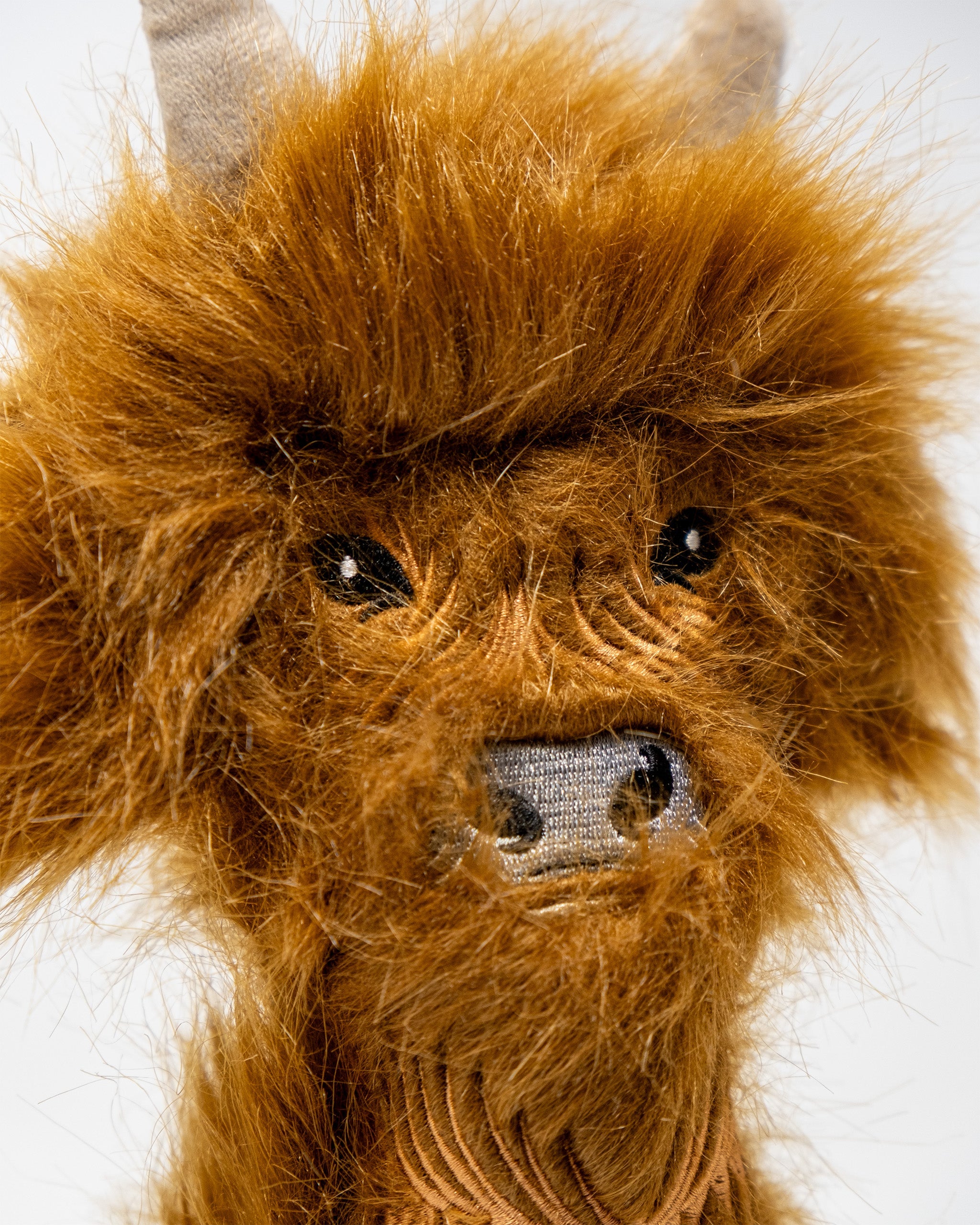 Image of Highland Cow - Hybrid Cover