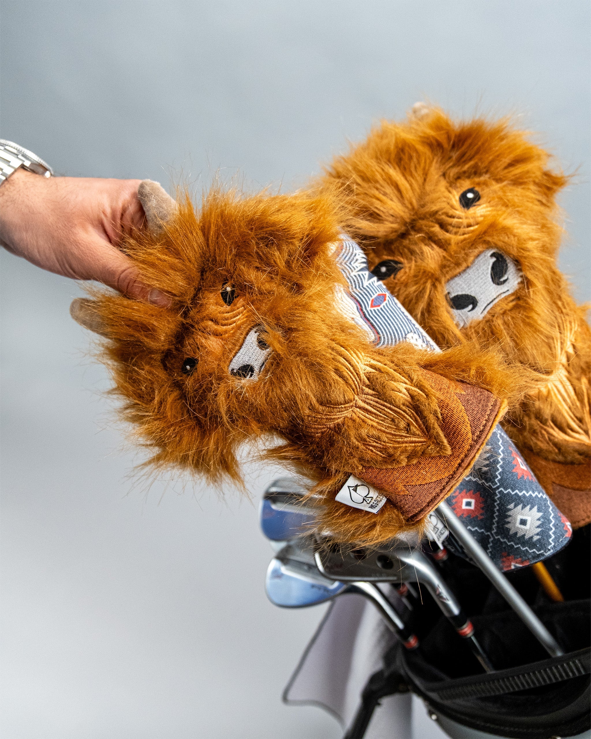 Image of Highland Cow - Hybrid Cover