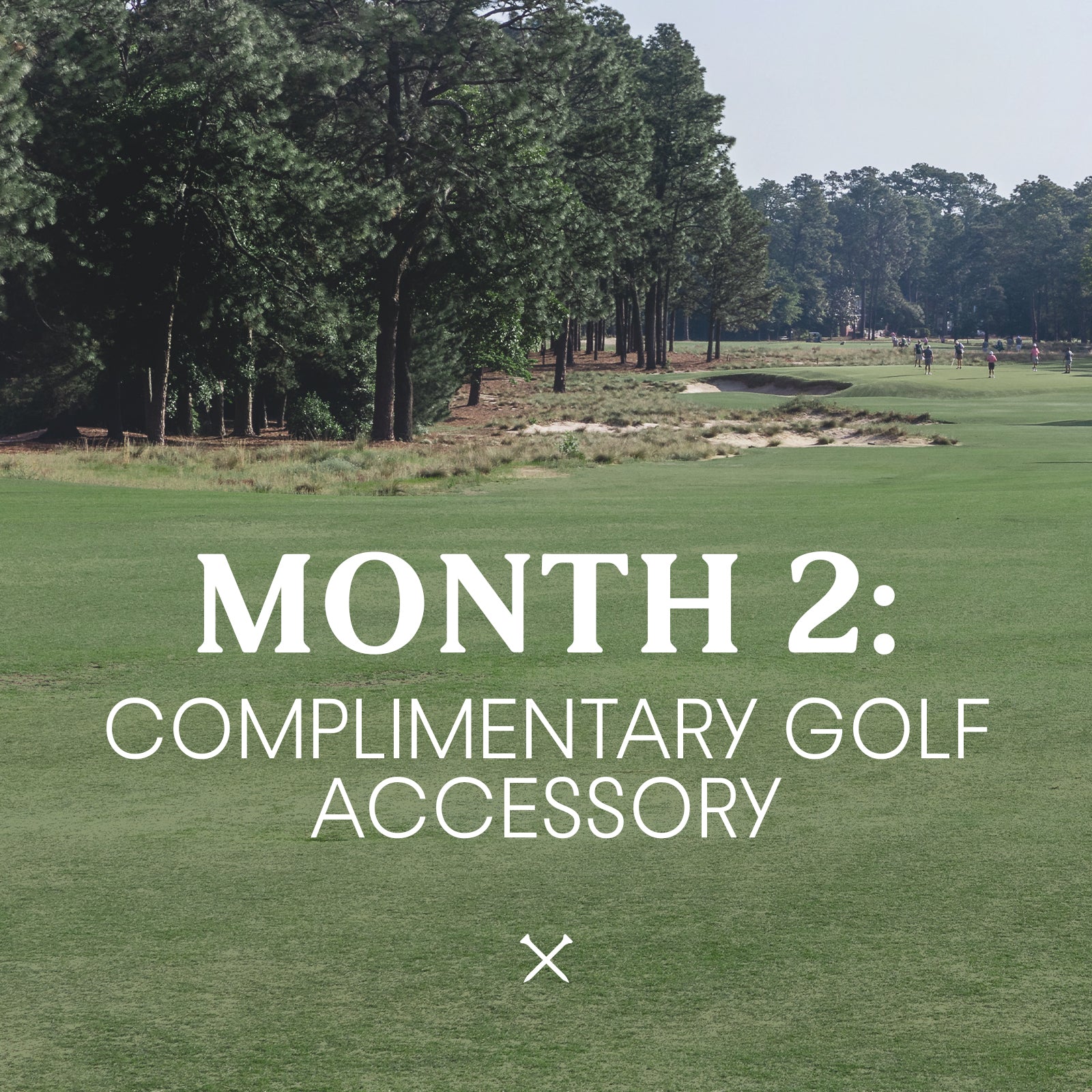 Image of Golf Accessory