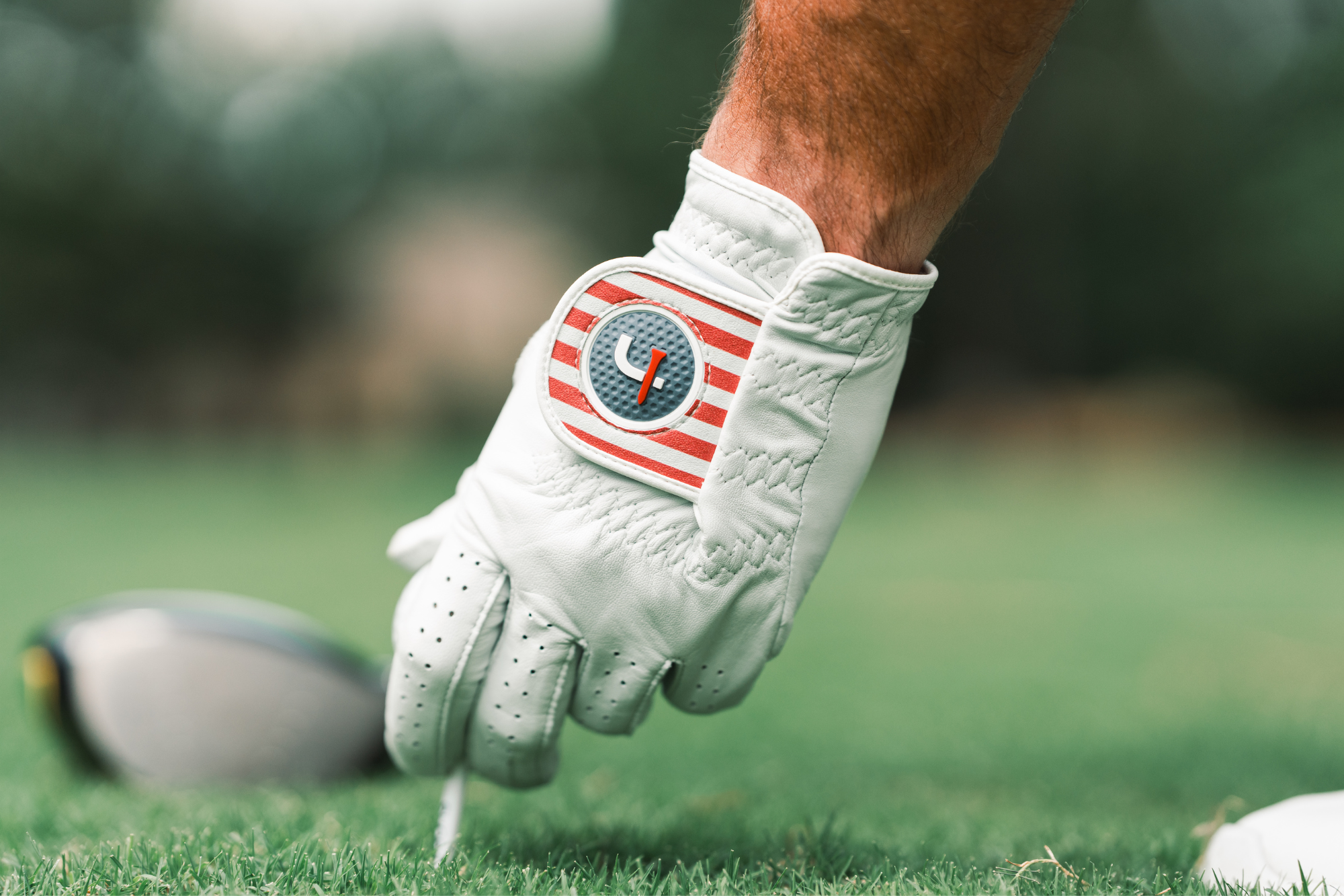 Image of Men's Limited Edition USA Players Glove