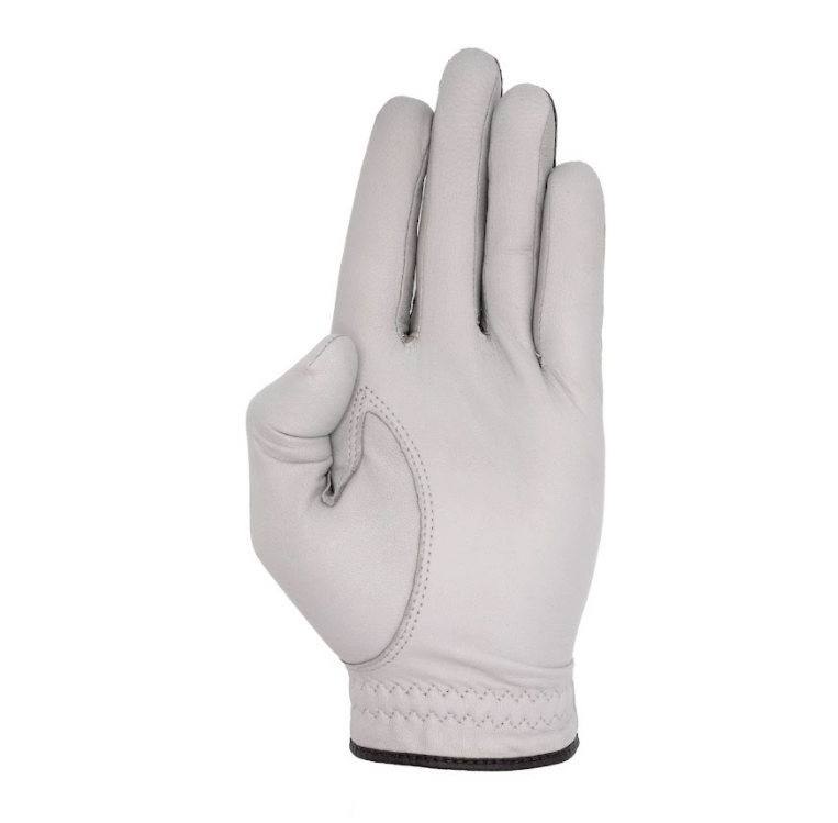 Image of Men's Players Glove