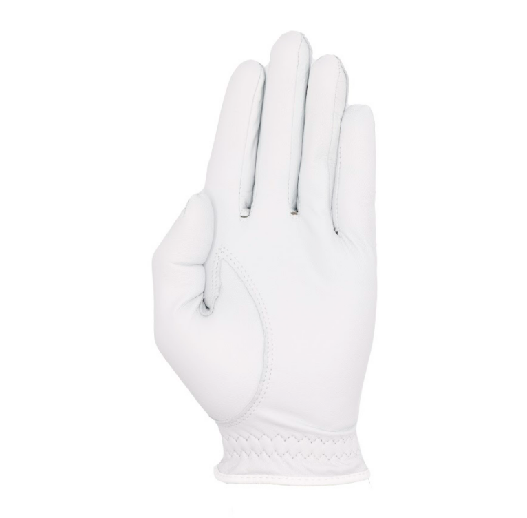 Image of Men's Players Glove